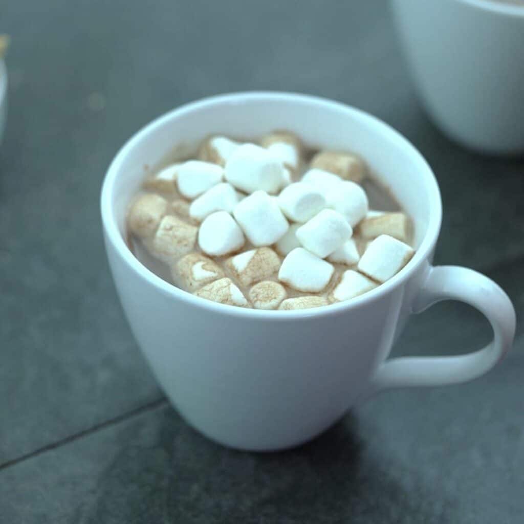 Hot Cocoa with Marshmallow served in a mug